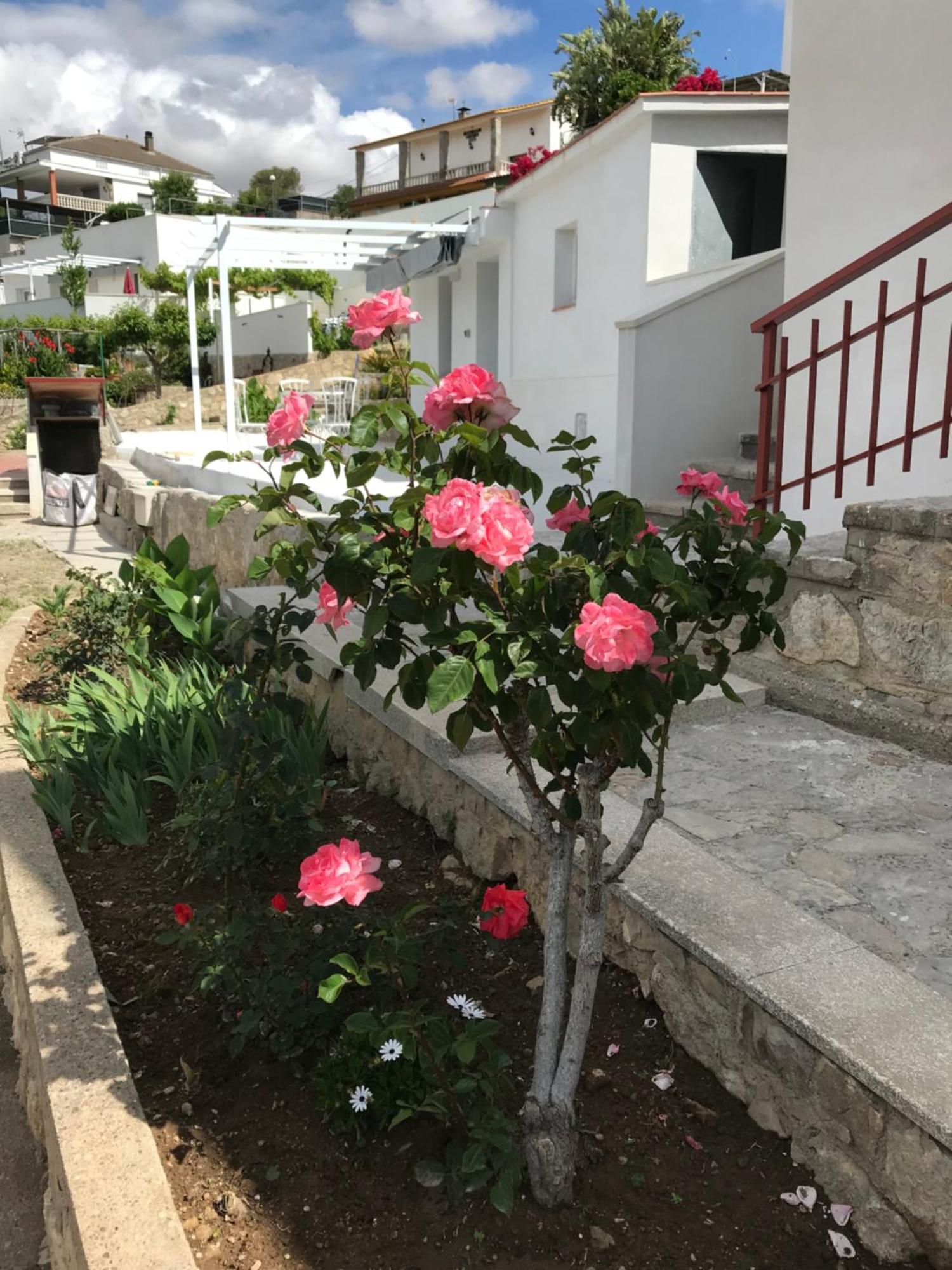 Campagne Luxueuse De Sitges Villa Olivella Bagian luar foto